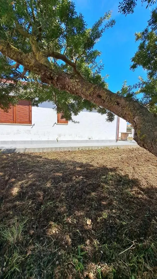 Domu Istella Villa Sant'Anna Arresi Holiday home